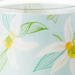 Salted Vanilla and Sandalwood Scented 2-Wick Jar Candle, 14.5 oz.