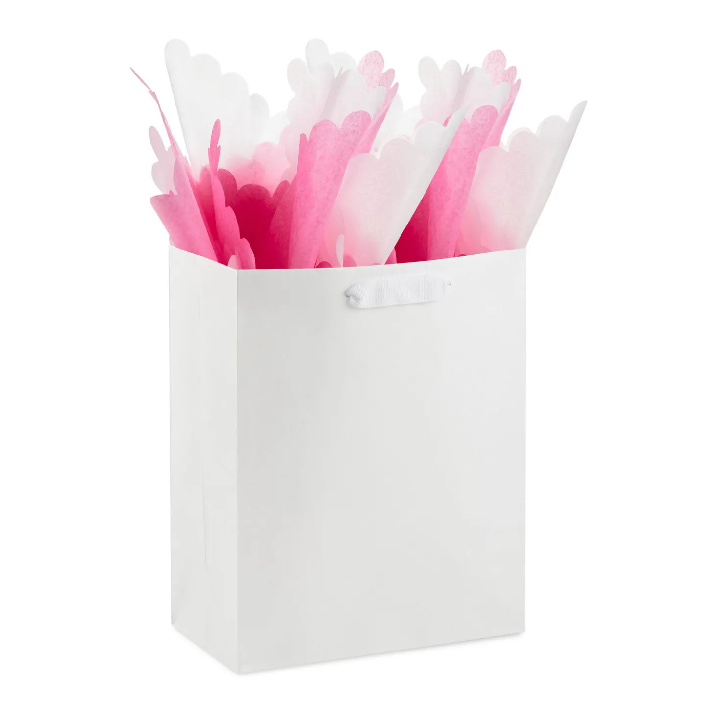 Scalloped Solid Pink and White 2-Pack Tissue Paper, 4 sheets