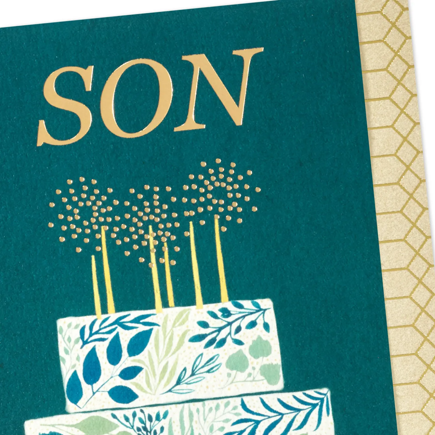 Sharing a Wish With Plenty of Love Birthday Card for Son