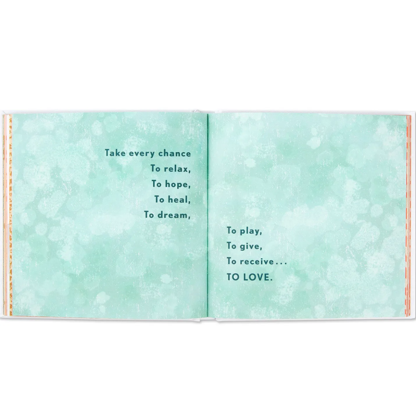She Believed She Could So She Did Book