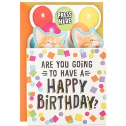 Singing Cats Funny Musical Pop-Up Birthday Card