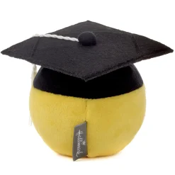 Smiley Face in Grad Cap Plush Gift Card Holder