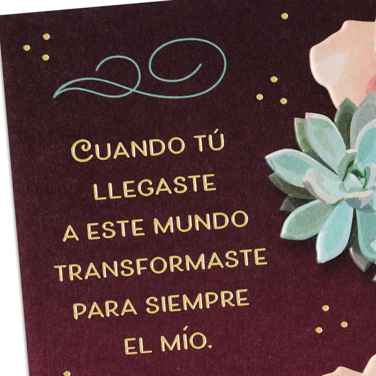 So Happy to Celebrate You Spanish-Language Birthday Card for Wife