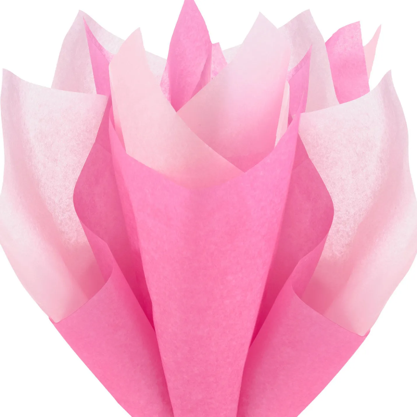 Solid Hot Pink/Medium Pink 2-Pack Tissue Paper, 6 sheets