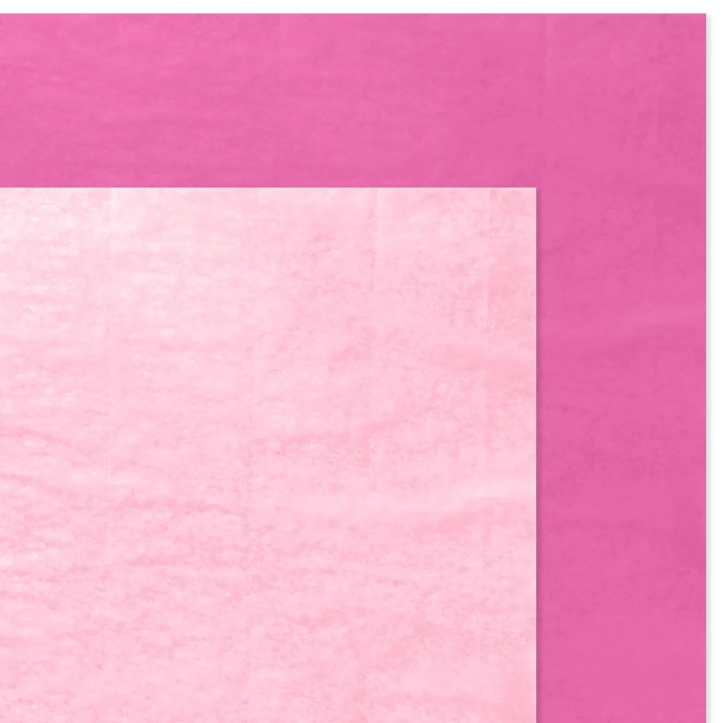 Solid Hot Pink/Medium Pink 2-Pack Tissue Paper, 6 sheets