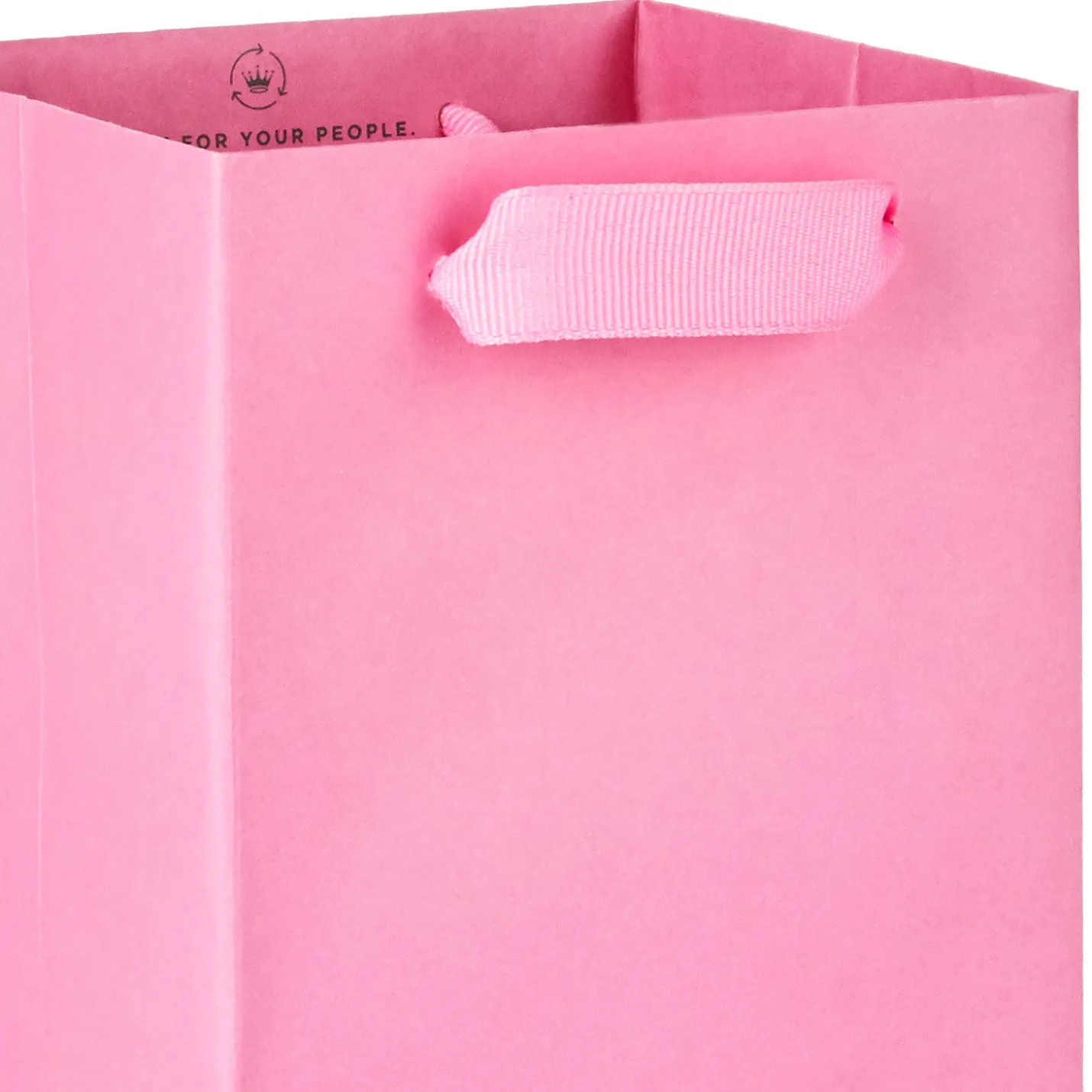 13" Solid Pink Wine Gift Bag