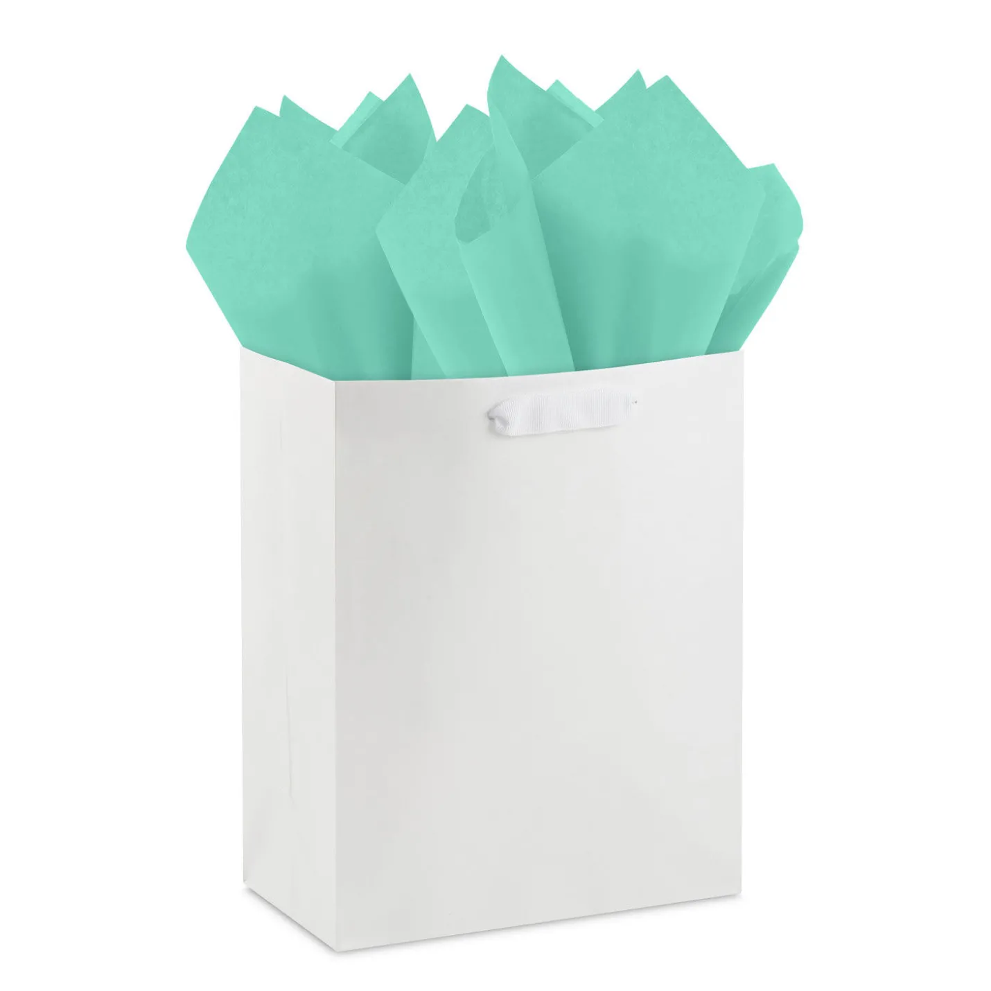 Solid Turquoise/Mint 2-Pack Tissue Paper, 6 sheets