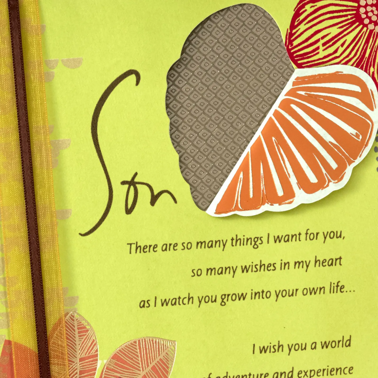 So Many Wishes for You in My Heart Birthday Card for Son