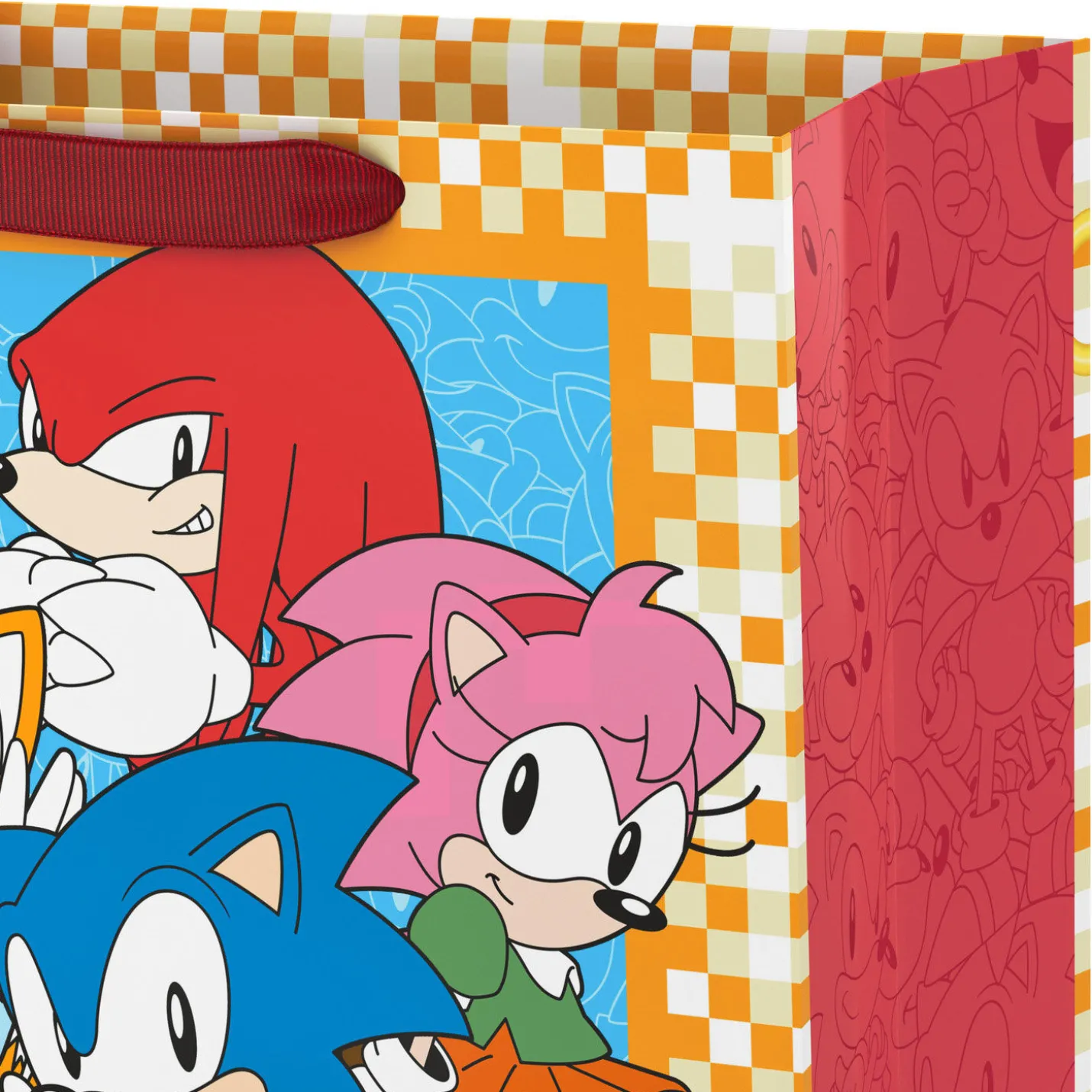 13" Sonic the Hedgehog™ and Friends Large Gift Bag