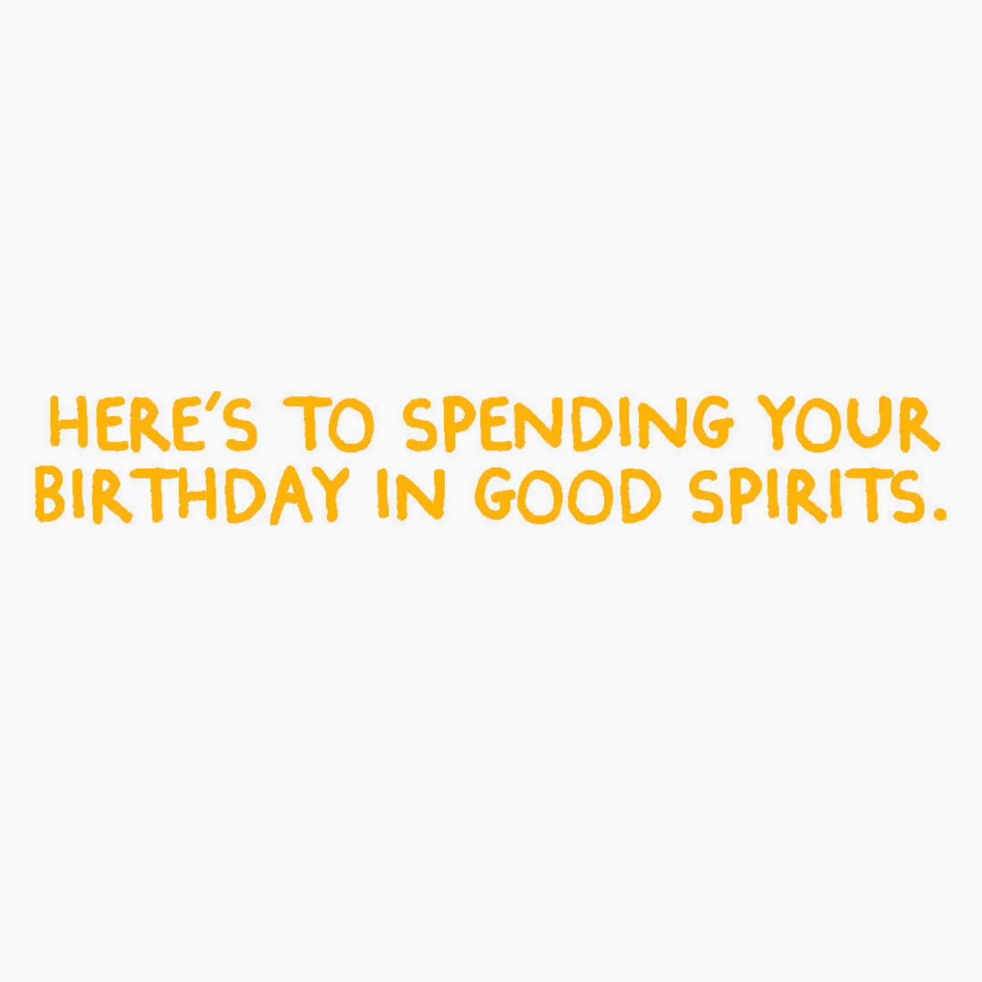 Spend Your Day in Good Spirits Funny Birthday Card