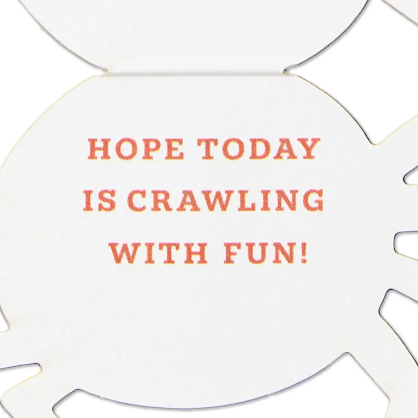Spider in Web Paper Craft Halloween Card With Mini Card