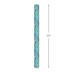 Sports Balls on Blue Wrapping Paper, 20 sq. ft.