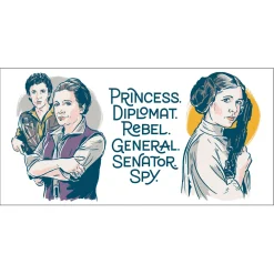 Star Wars™ Princess Leia™ Collectible Drinking Glass, 13.5 oz.