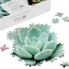 Succulent Garden 1000-Piece Jigsaw Puzzle