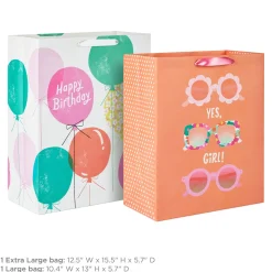 Sunglasses and Balloons 2-Pack Birthday Gift Bag Bundle