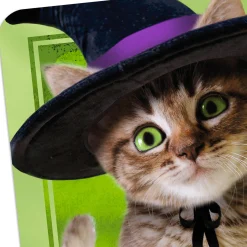 Tabby Cat in Witch Hat Halloween Card