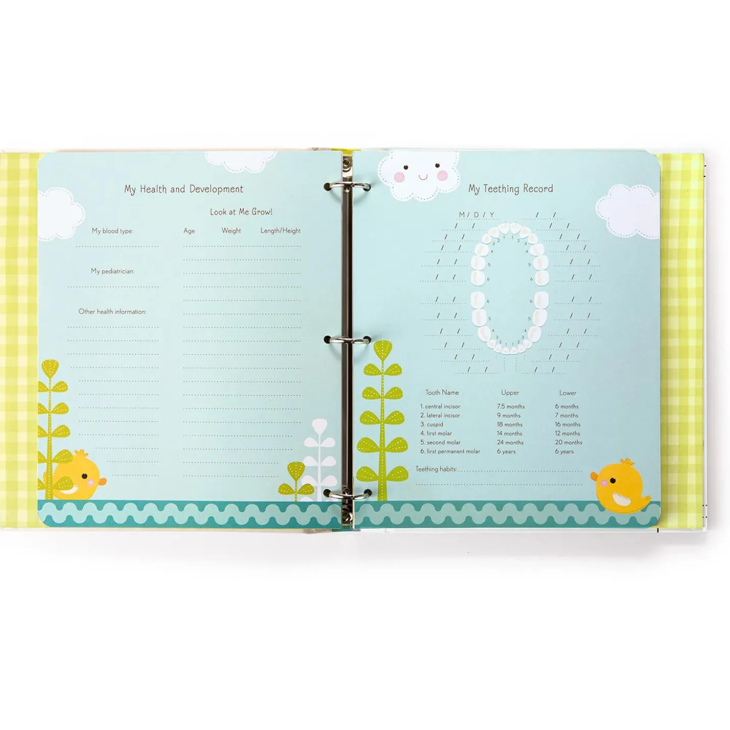 The Big Story of Little Me Three-Ring Baby Book
