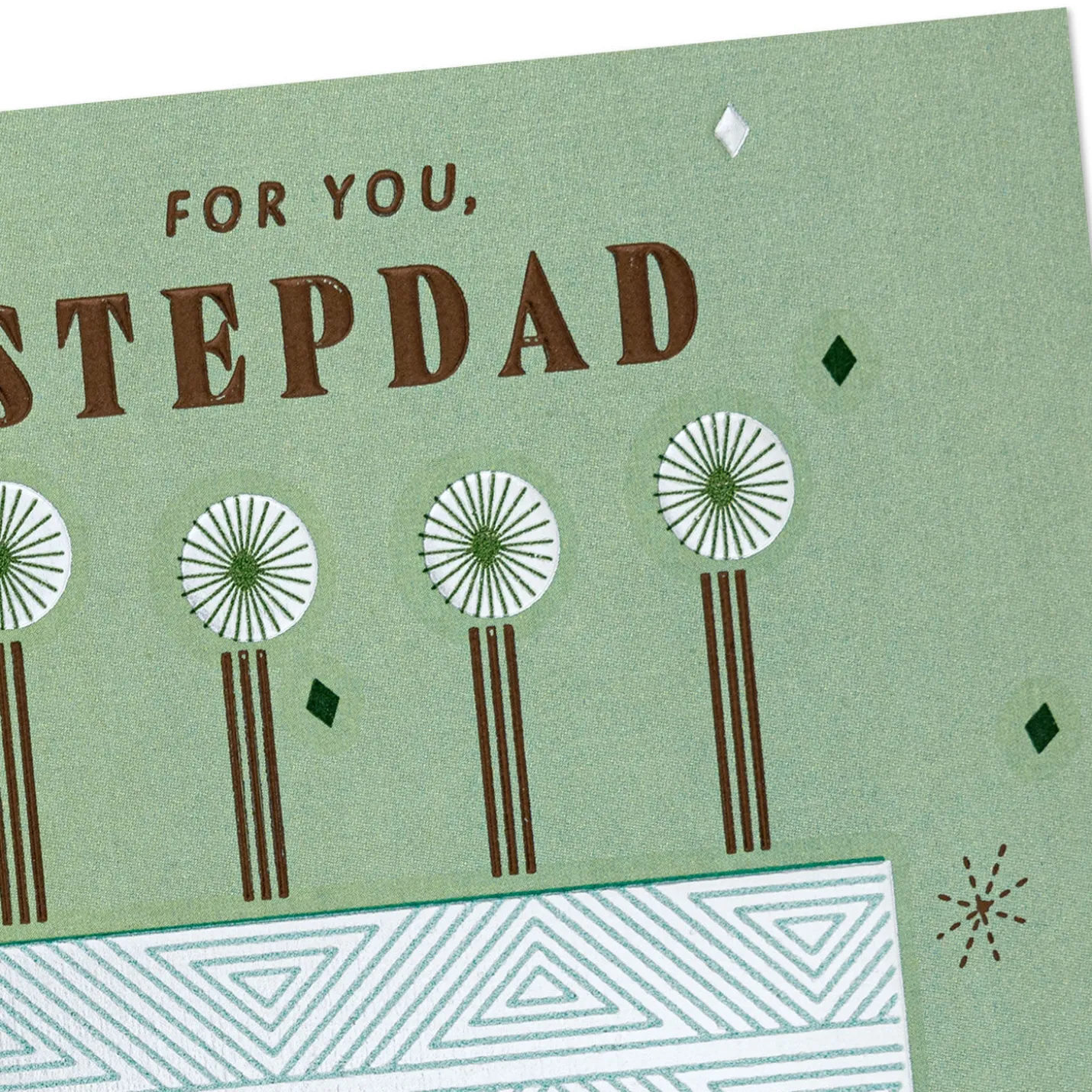 The Good Man You Are Birthday Card for Stepdad