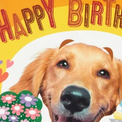 The Hero We Depend On Pop-Up Birthday Card for Dad