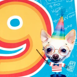The Most Awesome 9th Birthday Card