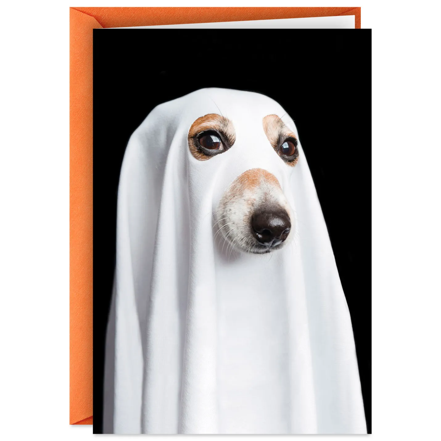 Things That Go Bark in the Night Funny Halloween Card