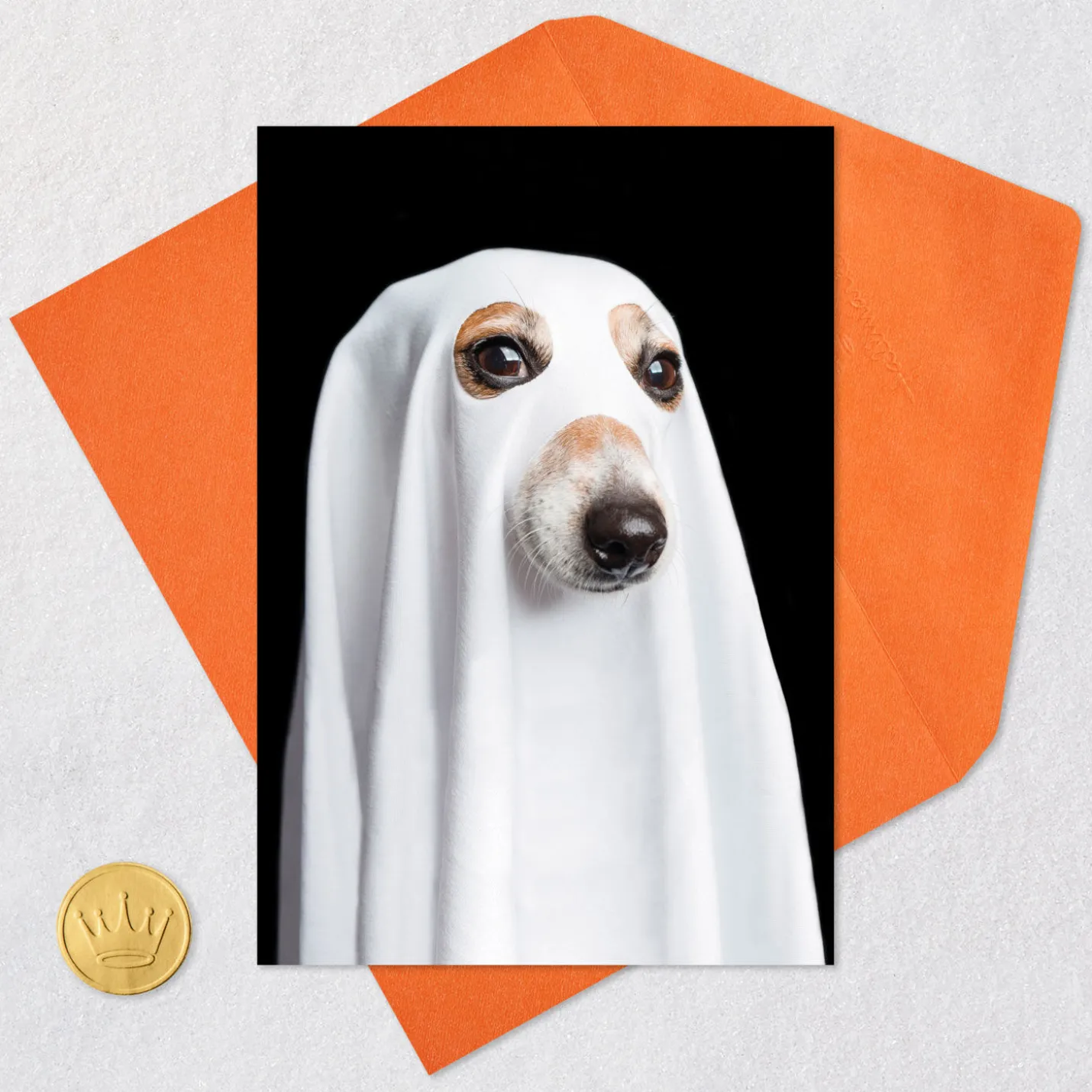 Things That Go Bark in the Night Funny Halloween Card