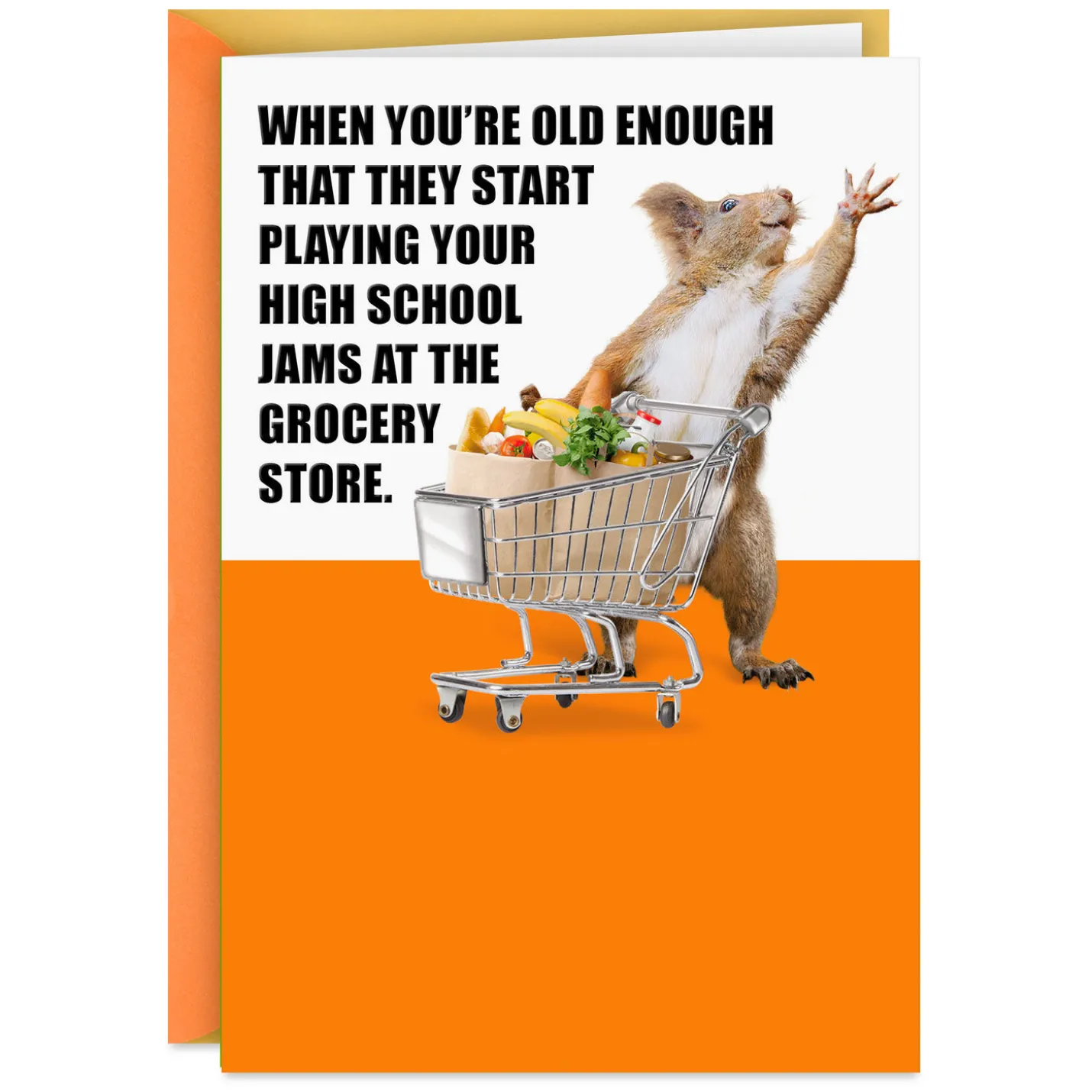 To an Oldie and a Goodie Funny Birthday Card