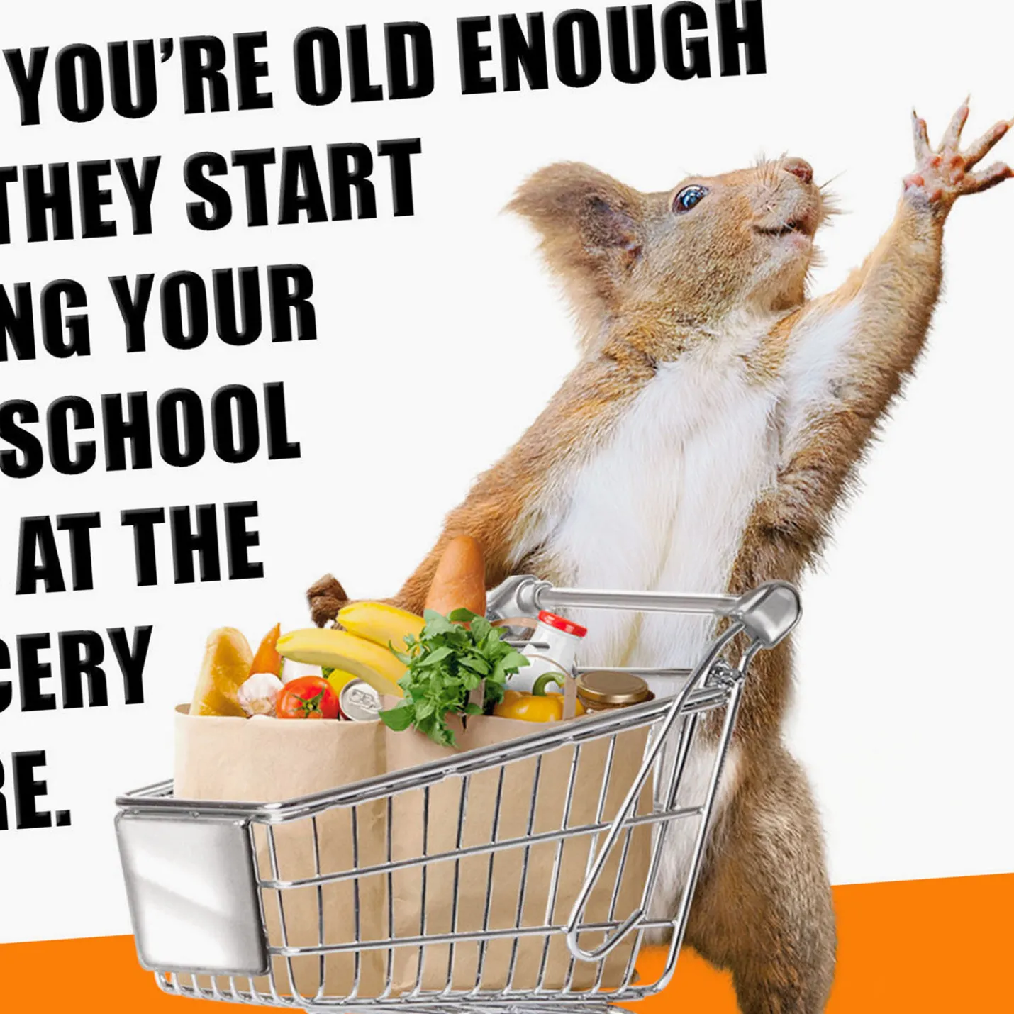 To an Oldie and a Goodie Funny Birthday Card