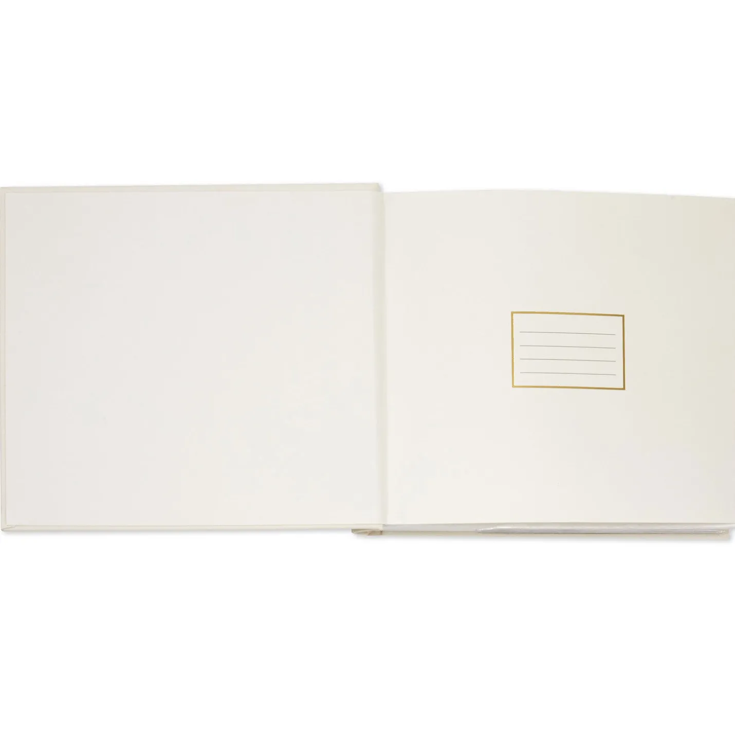 Today, Tomorrow, Always Gold on Cream Linen Photo Album