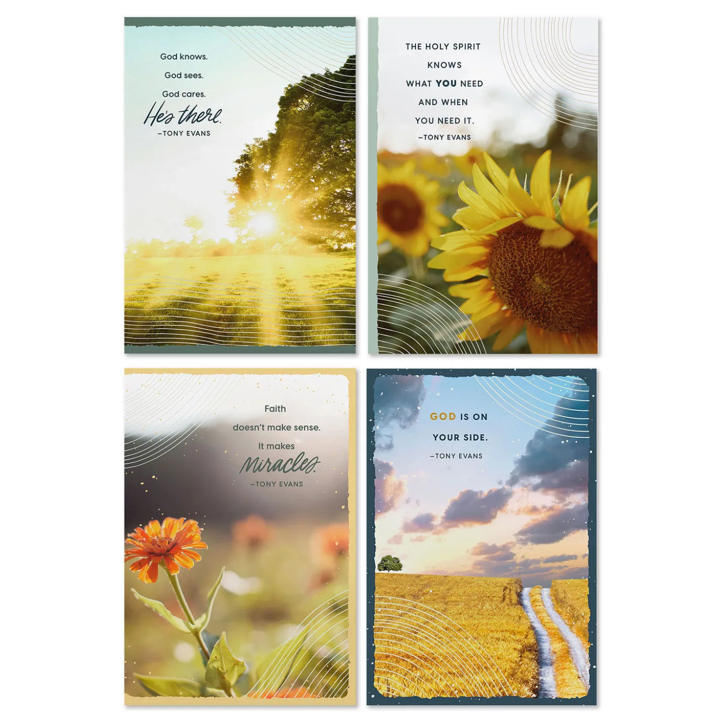 Tony Evans Assorted Religious Praying for You Cards, Box of 12