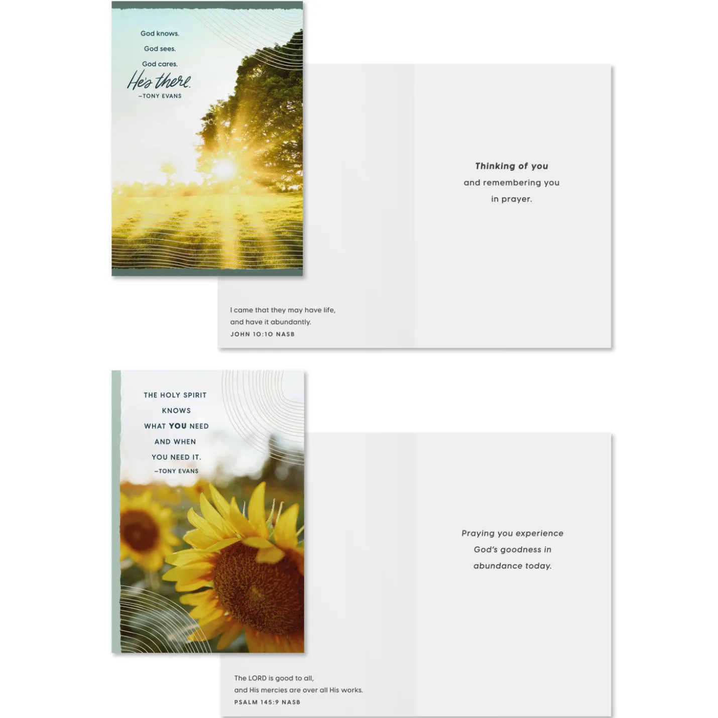 Tony Evans Assorted Religious Praying for You Cards, Box of 12