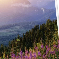 Tranquil Nature Scenes Assorted Religious Care and Concern Cards, Box of 12