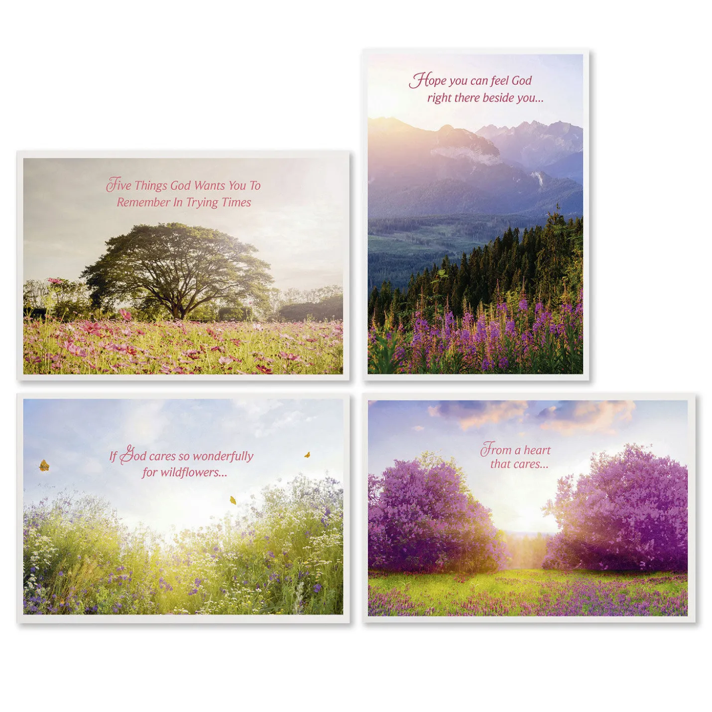 Tranquil Nature Scenes Assorted Religious Care and Concern Cards, Box of 12