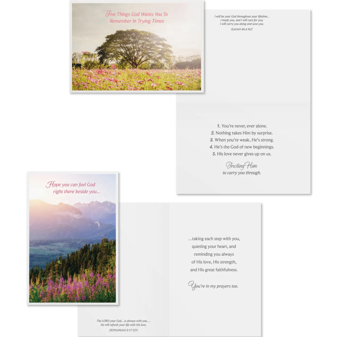 Tranquil Nature Scenes Assorted Religious Care and Concern Cards, Box of 12