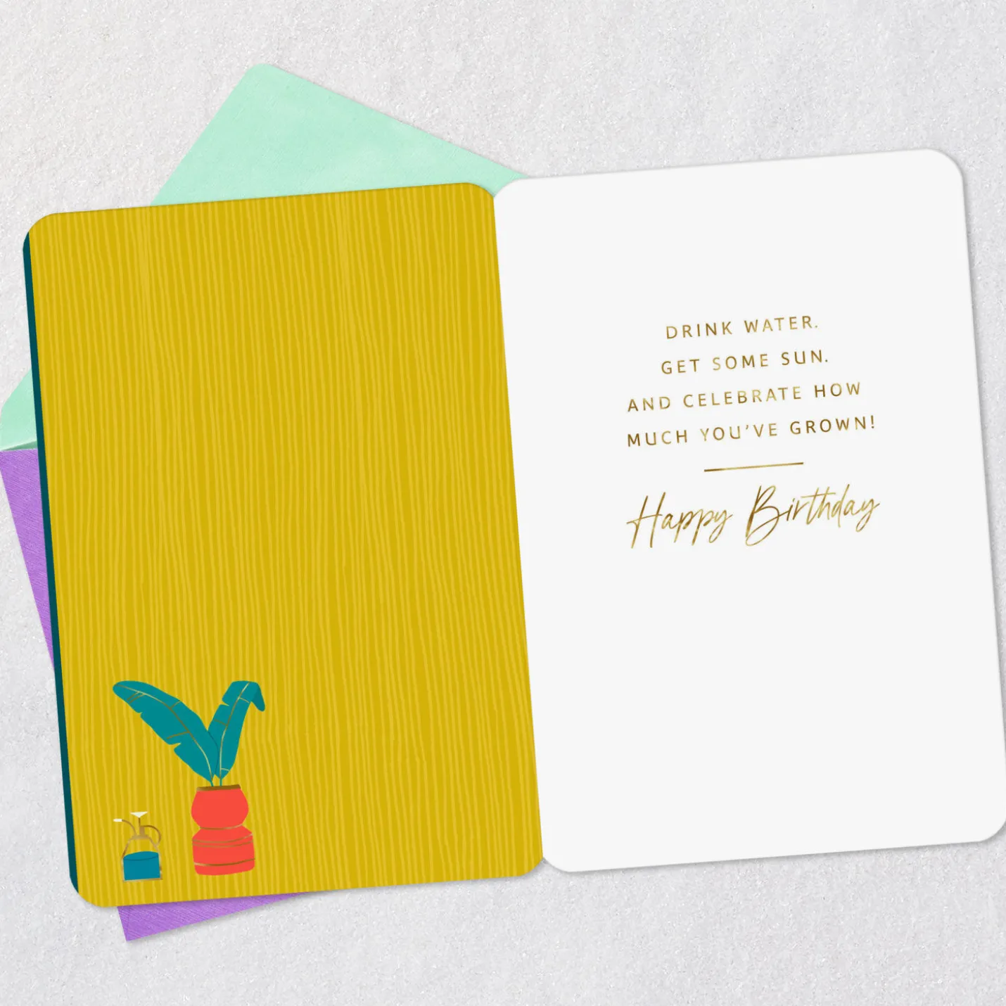 Treat Yourself Like a Plant Funny Birthday Card