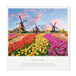 Tulip Time 1000-Piece Jigsaw Puzzle