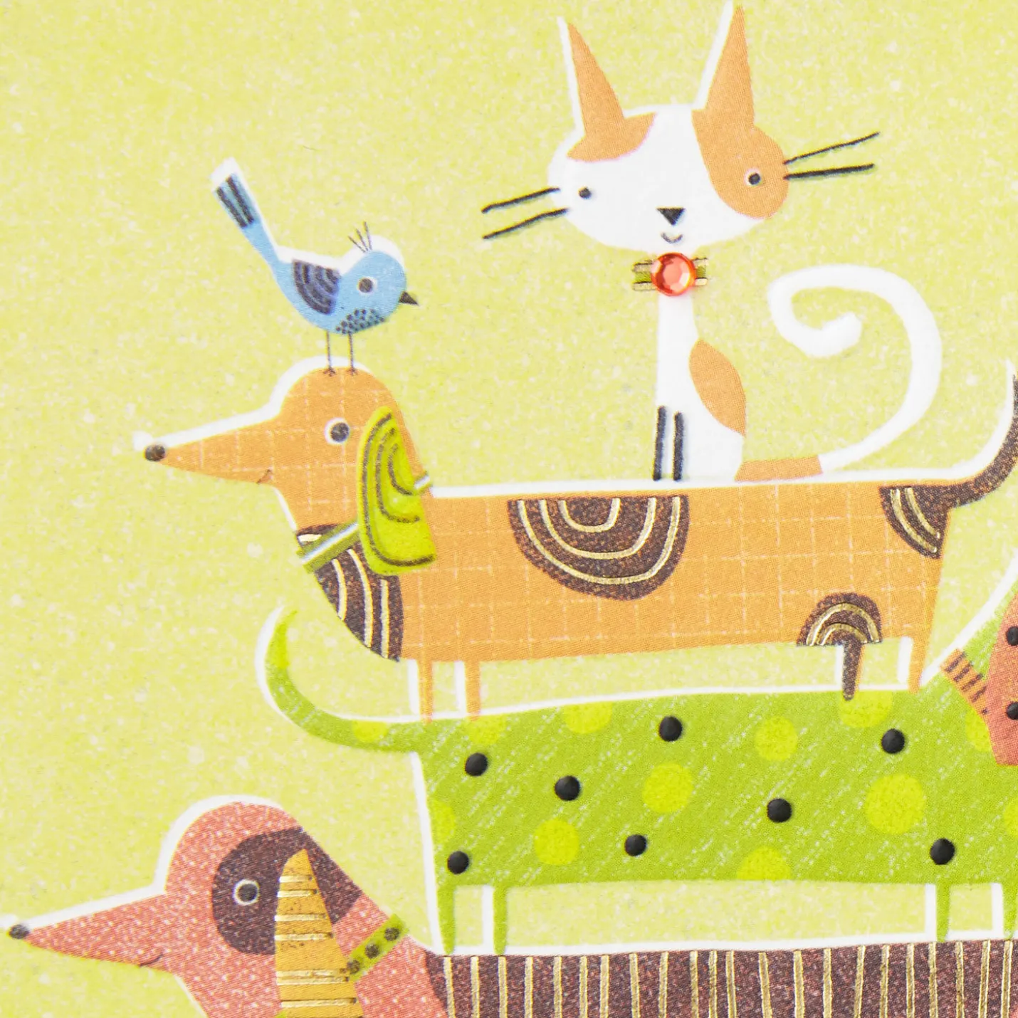 UNICEF Pet Pyramid Birthday Card for Friend