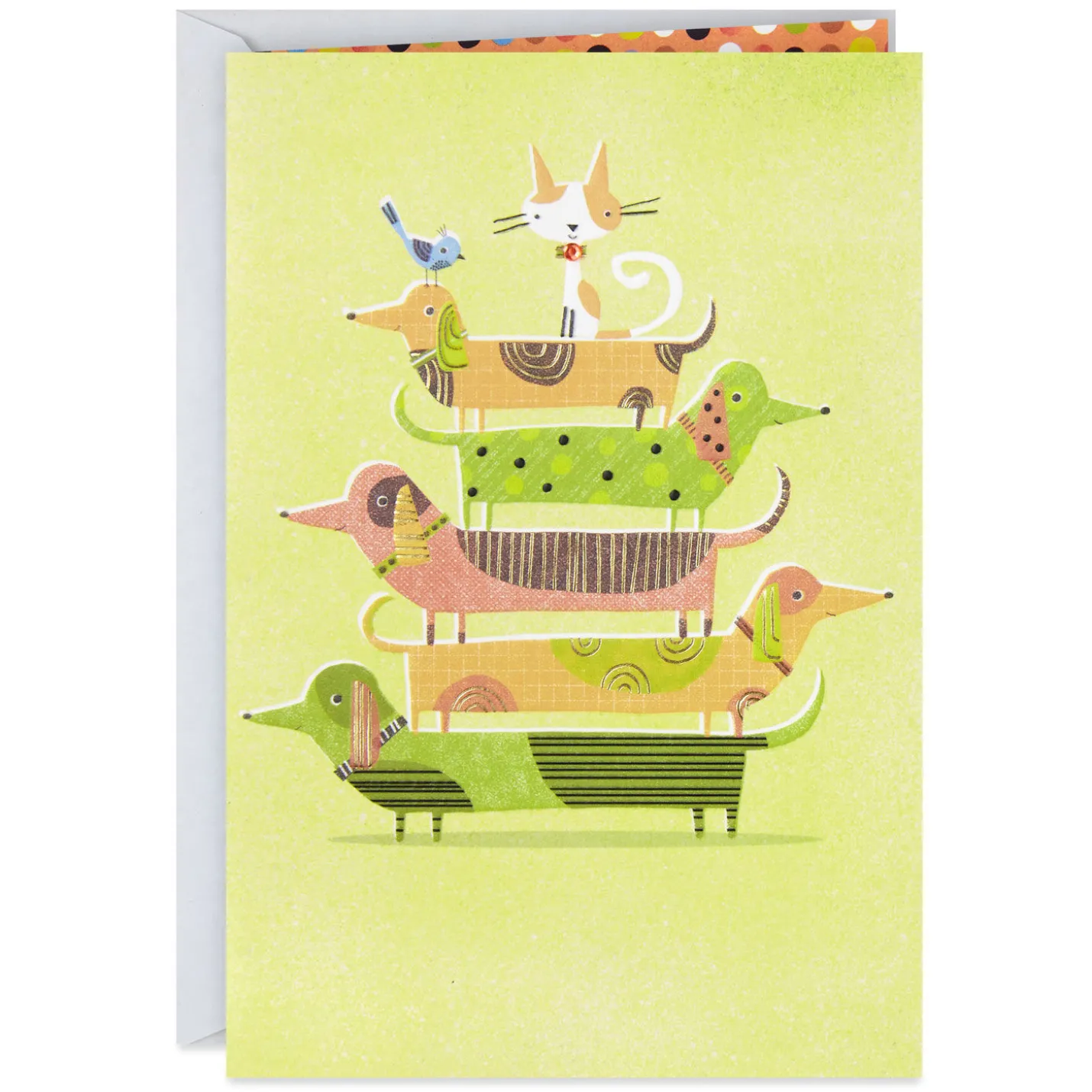 UNICEF Pet Pyramid Birthday Card for Friend
