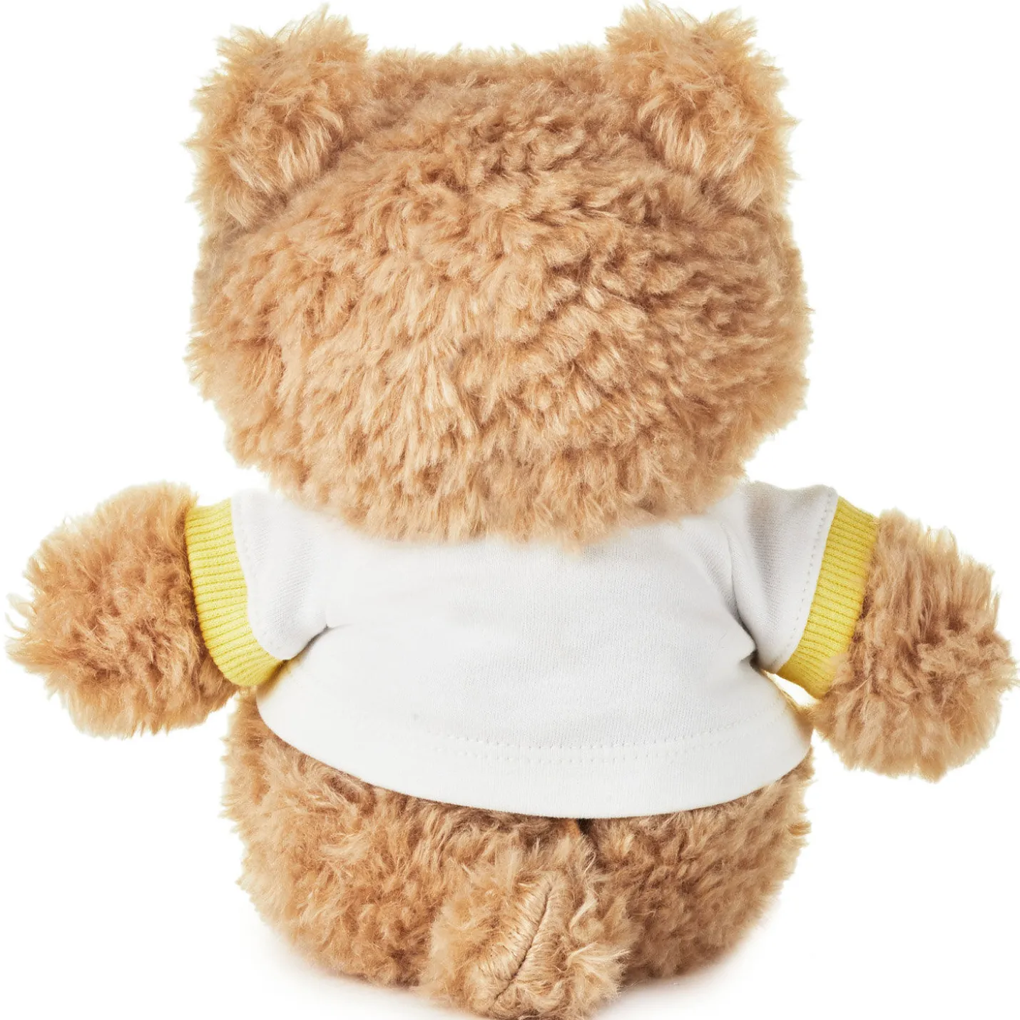 Welcome Baby Recordable Teddy Bear Stuffed Animal, 8.75"