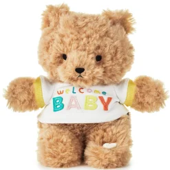Welcome Baby Recordable Teddy Bear Stuffed Animal, 8.75"
