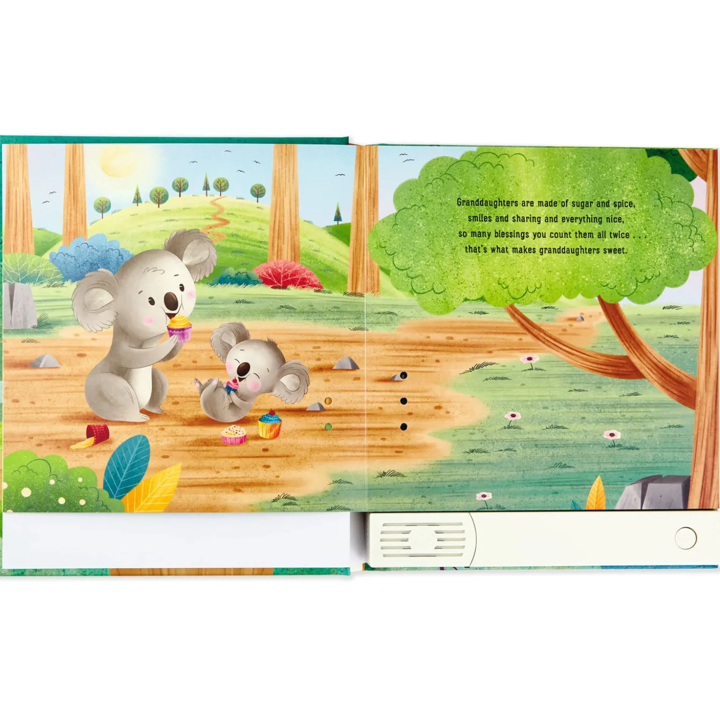 What Are Granddaughters Made Of? Recordable Storybook