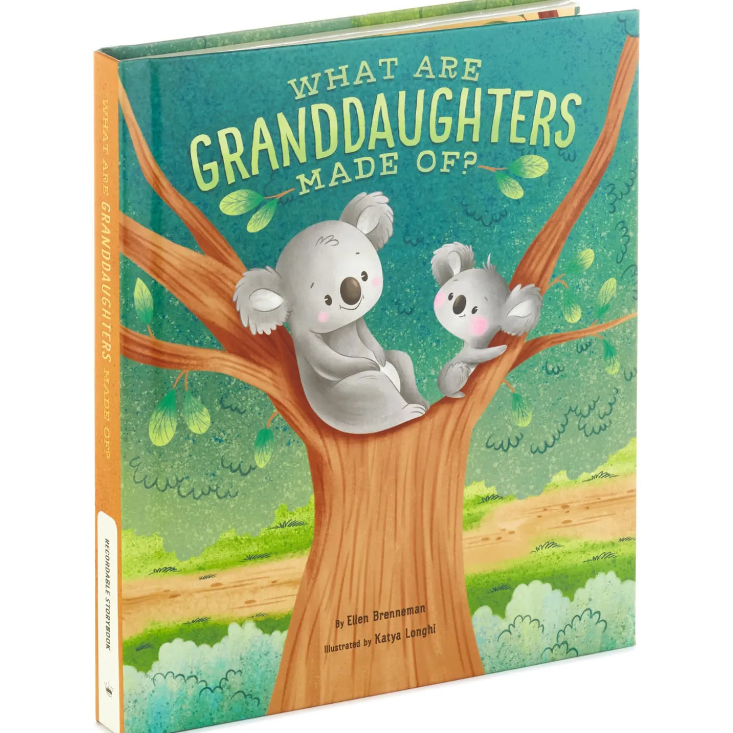 What Are Granddaughters Made Of? Recordable Storybook