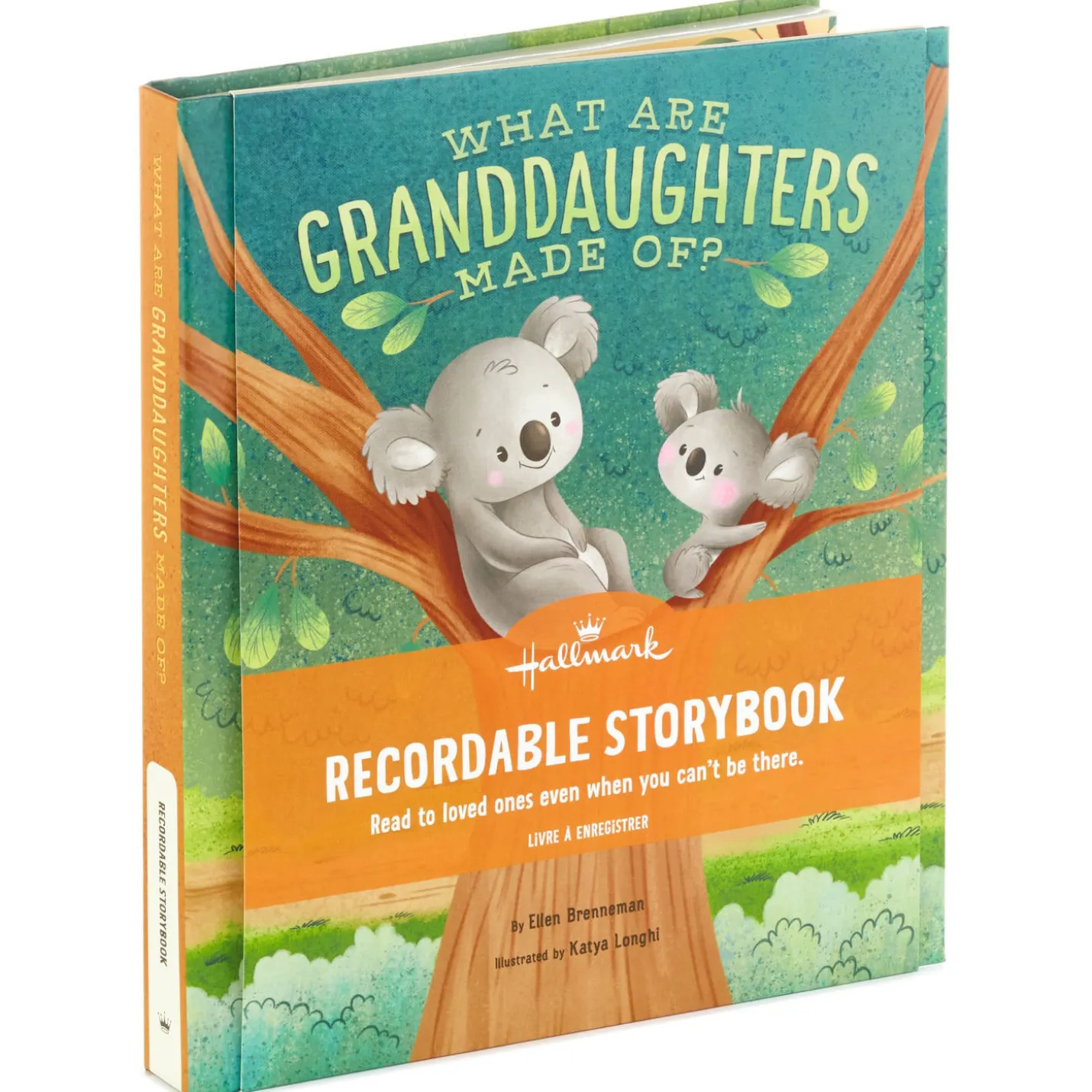 What Are Granddaughters Made Of? Recordable Storybook