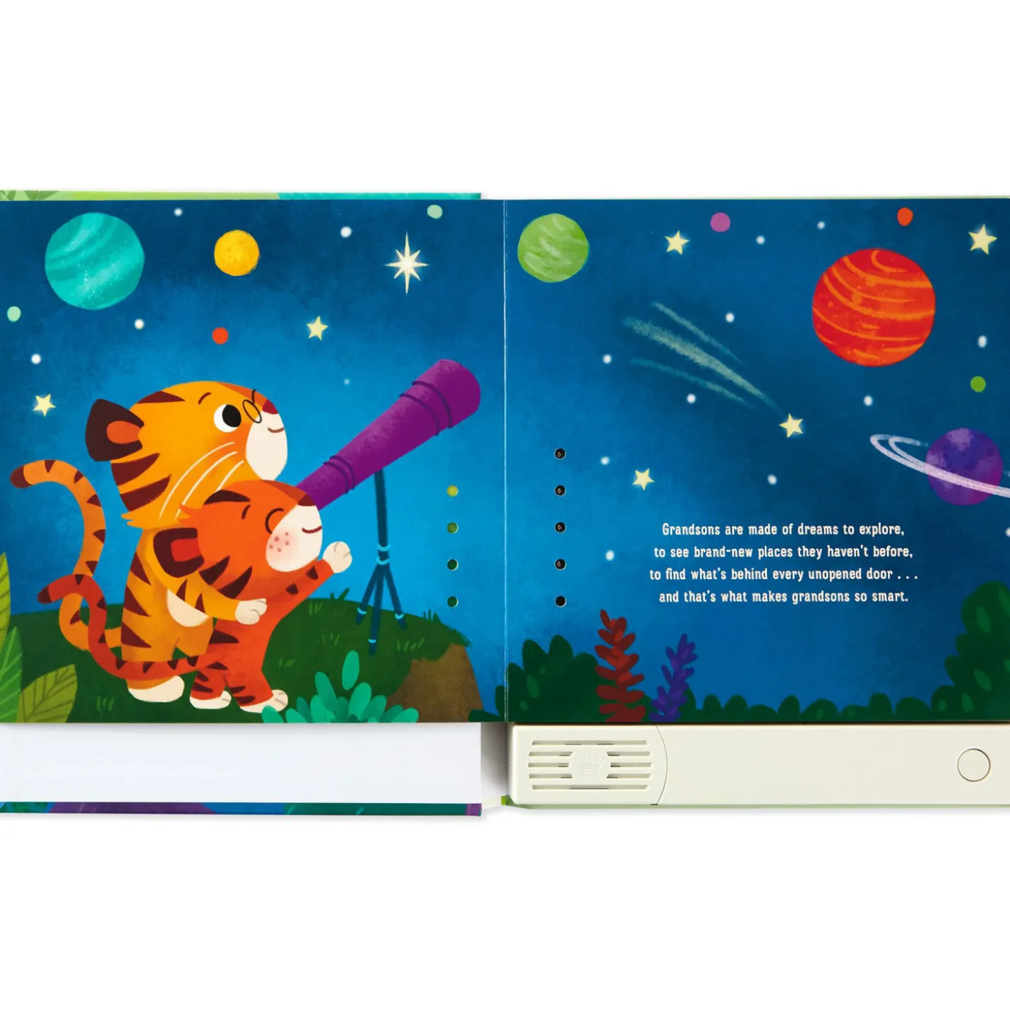 What Are Grandsons Made Of? Recordable Storybook