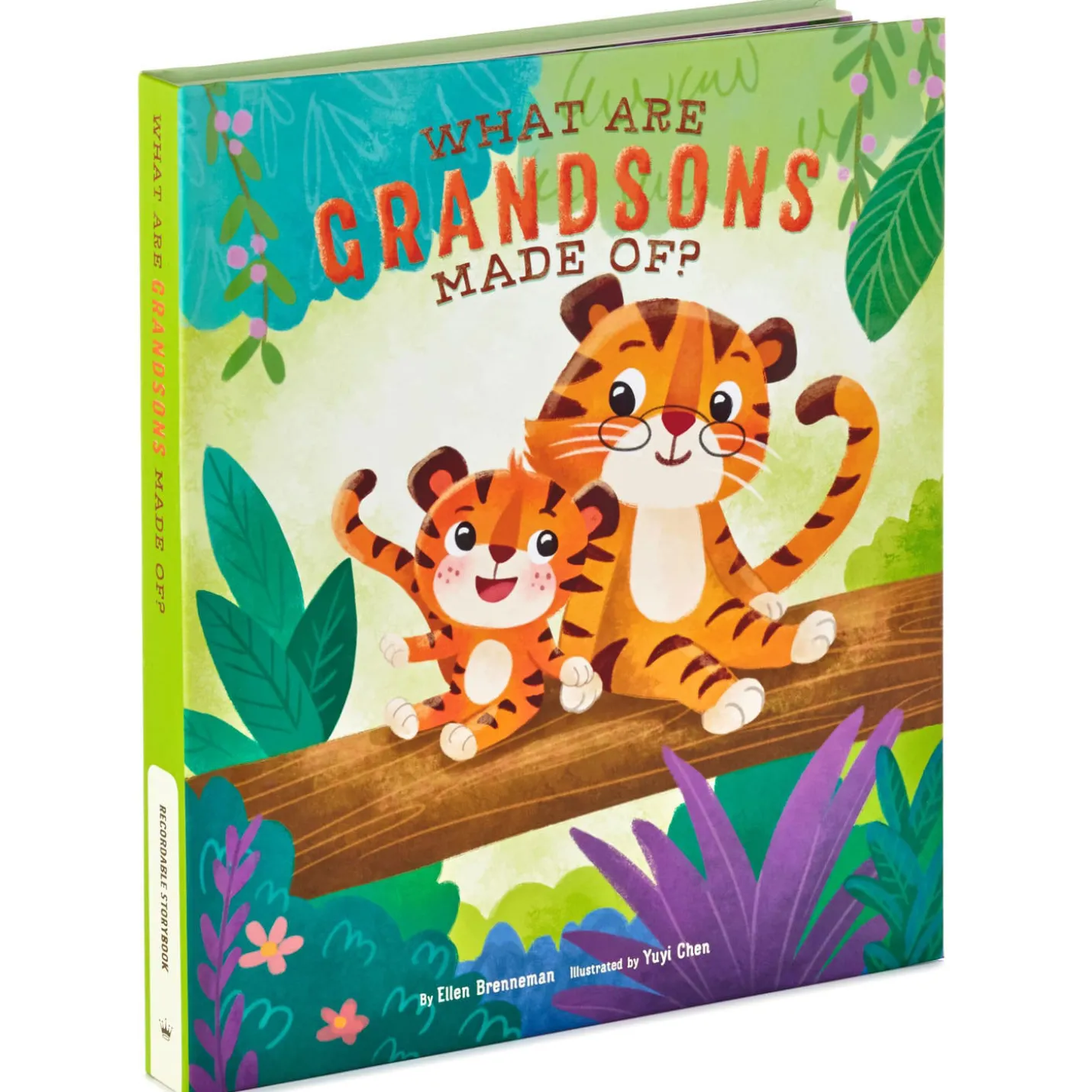 What Are Grandsons Made Of? Recordable Storybook