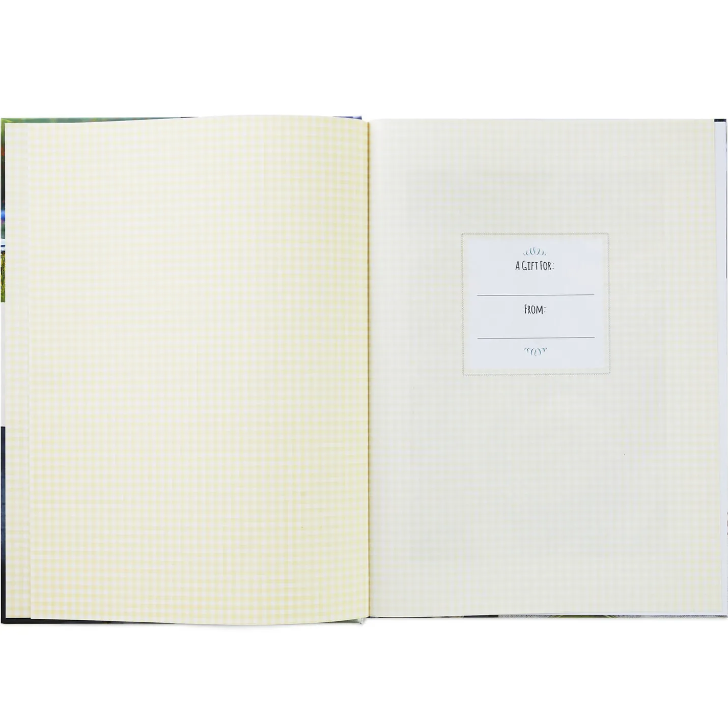 What Can I Bring?: Food for Any Occasion Life Serves Up Cookbook