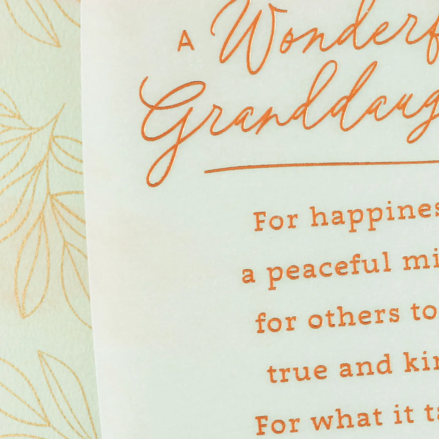 Wishes for a Wonderful Granddaughter Birthday Card