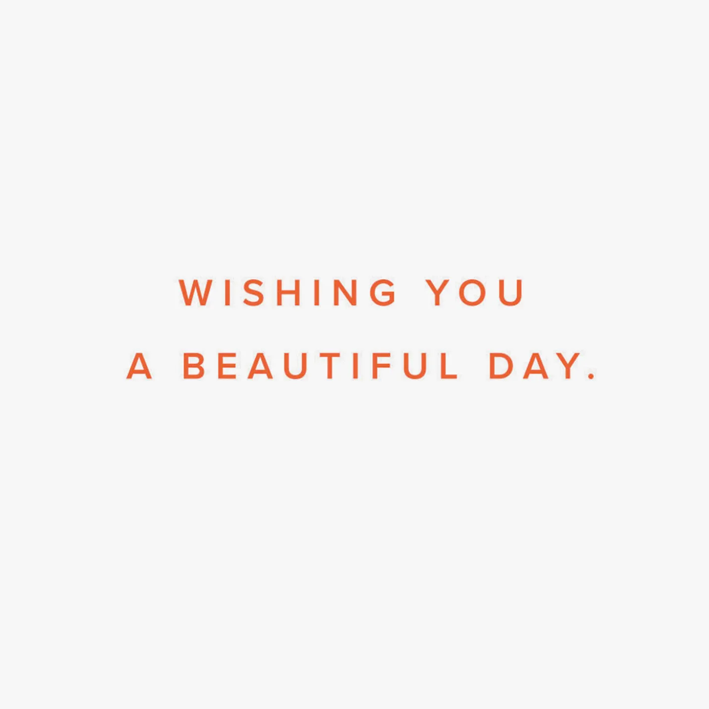 Wishing You a Beautiful Day Friendship Card
