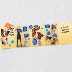 Wishing You a Treat-Filled Celebration Funny Birthday Card