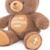 You Are Wonderfully Made Teddy Bear Plush, 8"